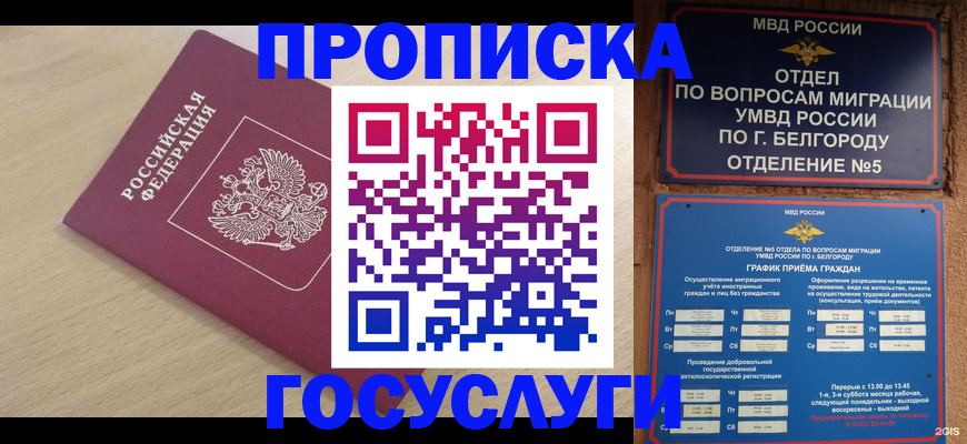 прописка законно в Сальске